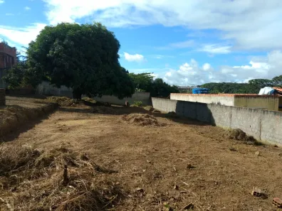 Fazenda / Sítio / Chácara com 2 Quartos à venda, 1000m² no , Satuba