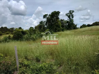 Fazenda / Sítio / Chácara à venda, 500m² no , Paranã