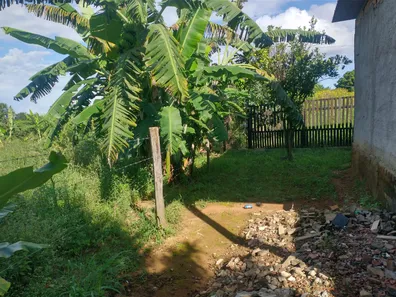 Fazenda / Sítio / Chácara com 3 Quartos à venda, 5000m² no , Padre Bernardo