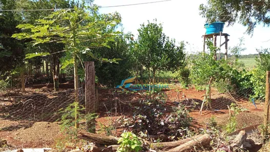 Fazenda / Sítio / Chácara com 4 Quartos à venda, 500m² no , Catanduvas