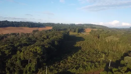 Fazenda / Sítio / Chácara à venda, 44000m² no Área Rural de Almirante Tamandaré, Almirante Tamandaré