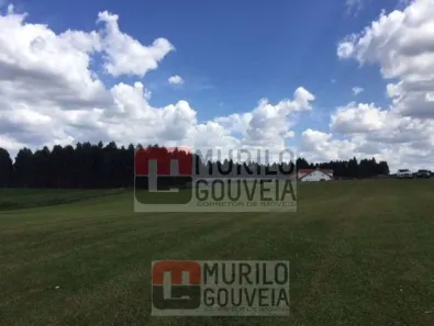 Terreno / Lote / Condomínio à venda, 58000m² no Eucaliptos, Fazenda Rio Grande