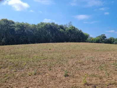 Terreno / Lote / Condomínio à venda, 60617m² no Cecilia, Campo Magro