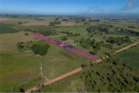 Fazenda / Sítio / Chácara à venda, 10000m² no Boca do Monte, Santa Maria