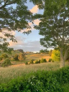 Terreno / Lote / Condomínio à venda, 1000m² no , Alumínio