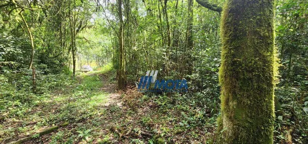 Fazenda / Sítio / Chácara com 1 Quarto à venda, 19367m² no Quatro Barras, Quatro Barras