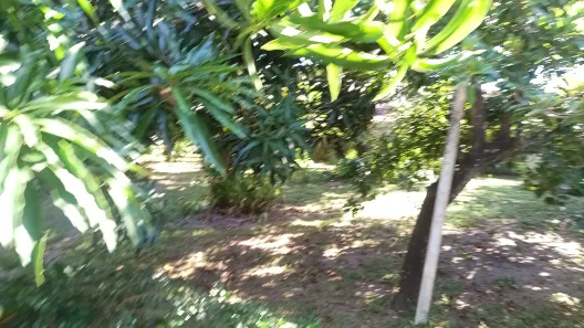 Casa de Vila com 5 Quartos à venda, 200m² no , Vera Cruz