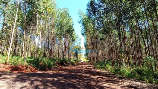 Fazenda / Sítio / Chácara à venda, 1365m² no São Salvador, Cascavel