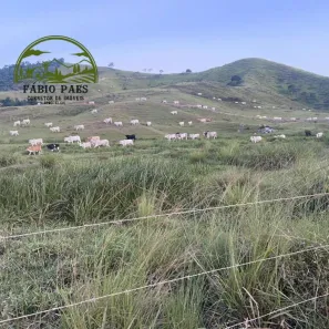 Fazenda / Sítio / Chácara com 5 Quartos à venda, 3590000m² no , Rio Bonito