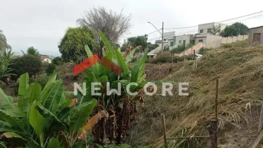 Terreno / Lote / Condomínio à venda, 360m² no Caeté, Caeté