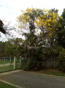 Fazenda / Sítio / Chácara com 3 Quartos à venda, 350m² no Chácara Cruzeiro do Sul, Sumaré