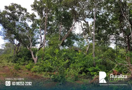 Fazenda / Sítio / Chácara à venda, 1243m² no , Divinópolis do Tocantins