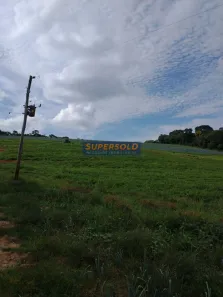 Fazenda / Sítio / Chácara com 5 Quartos à venda, 224500m² no , Piedade