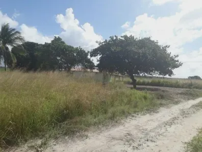 Fazenda / Sítio / Chácara com 3 Quartos à venda, 960000m² no , Vera Cruz