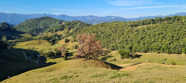 Fazenda / Sítio / Chácara à venda, 38000m² no , Águas Mornas