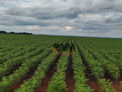 Fazenda / Sítio / Chácara à venda, 24829200m² no , Pedro Afonso