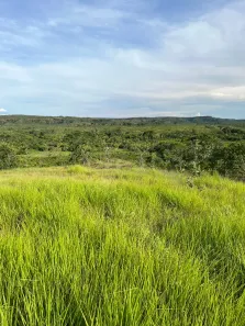 Fazenda / Sítio / Chácara com 2 Quartos à venda, 4985000m² no , Ponte Alta do Tocantins