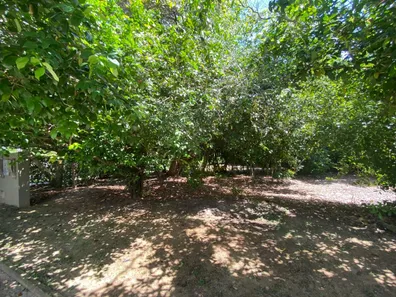 Terreno / Lote / Condomínio à venda, 1000m² no Busca Vida (Abrantes), Camaçari