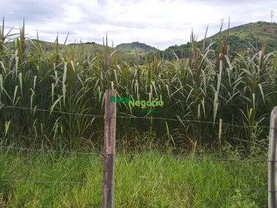 Fazenda / Sítio / Chácara com 3 Quartos à venda, 370000m² no Jardim Jalisco, Resende