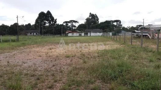 Terreno / Lote / Condomínio para alugar, 2000m² no Quississana, São José dos Pinhais