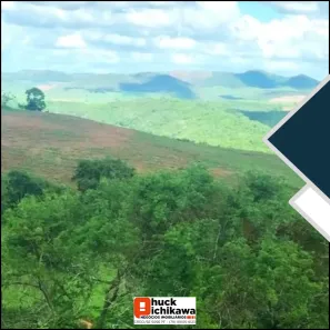 Fazenda / Sítio / Chácara à venda, 1360000m² no Centro, Nossa Senhora das Dores