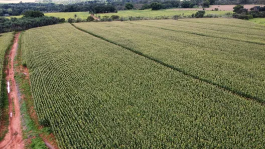 Fazenda / Sítio / Chácara à venda, 1700000m² no Arapoanga, Brasília