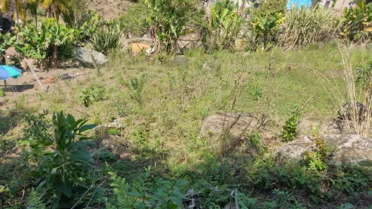 Fazenda / Sítio / Chácara com 1 Quarto à venda, 6800m² no , Piedade