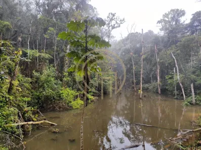 Fazenda / Sítio / Chácara com 3 Quartos à venda, 10000m² no Centro, Embu-Guaçu
