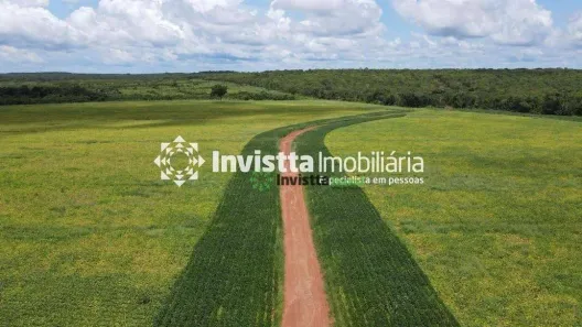 Fazenda / Sítio / Chácara à venda, 2154m² no , Pedro Afonso
