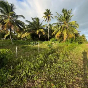 Terreno / Lote Comercial à venda, 15000m² no Centro, Barra dos Coqueiros