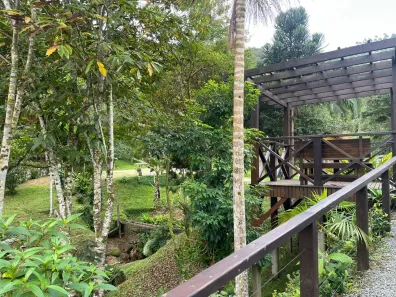 Fazenda / Sítio / Chácara com 3 Quartos à venda, 20000m² no Fazenda do Sacramento, Águas Mornas