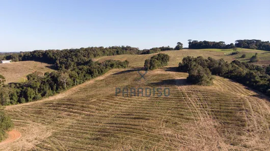 Terreno / Lote / Condomínio à venda, 76000m² no Jardim Pioneiro, Campo Magro
