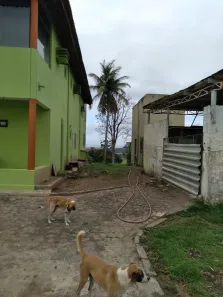 Fazenda / Sítio / Chácara com 4 Quartos à venda, 150000m² no Matriz, Vitória de Santo Antão