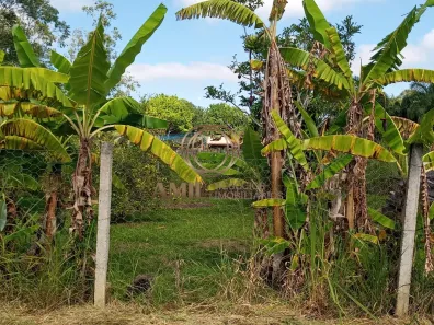 Fazenda / Sítio / Chácara com 3 Quartos à venda, 180m² no Chácara Marambaia, Caçapava