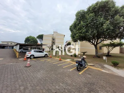 Apartamento com 3 Quartos à venda, 57m² no Panorama, Londrina