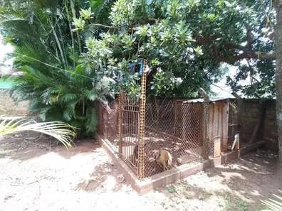 Fazenda / Sítio / Chácara com 3 Quartos para venda ou aluguel, 307m² no Condomínio Satélite, Araraquara