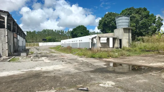 Galpão / Depósito / Armazém à venda, 1500m² no , 