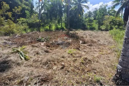 Terreno / Lote / Condomínio à venda, 300m² no , Maragogi