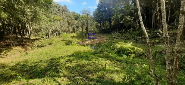 Fazenda / Sítio / Chácara com 3 Quartos à venda, 24200m² no , Contenda
