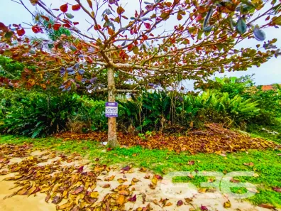 Terreno / Lote / Condomínio à venda, 300m² no Praia do Ervino, 