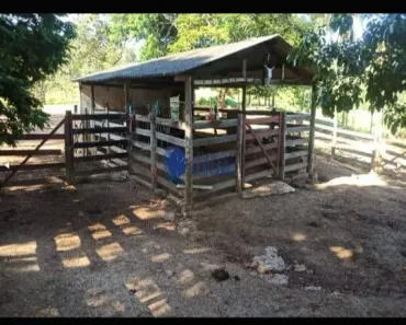 Fazenda / Sítio / Chácara com 3 Quartos à venda, 120m² no Área Rural de Santo Antônio do Descoberto, Santo Antônio do Descoberto