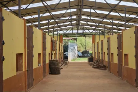 Fazenda / Sítio / Chácara com 4 Quartos para alugar, 53800m² no Rui Sanglard, Nova Friburgo