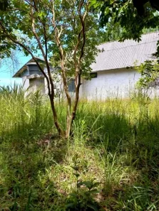 Terreno / Lote / Condomínio com 1 Quarto à venda, 2414m² no , Balsa Nova