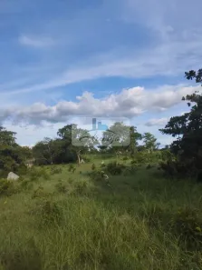 Fazenda / Sítio / Chácara à venda, 6m² no , Divinópolis do Tocantins