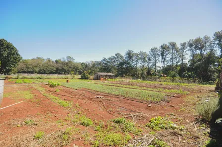 Fazenda / Sítio / Chácara com 5 Quartos à venda, 5000m² no Náutica, Foz do Iguaçu