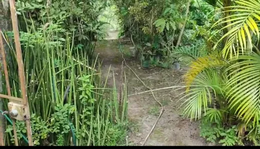 Fazenda / Sítio / Chácara com 5 Quartos à venda, 50000m² no Gravatá Centro, Gravatá