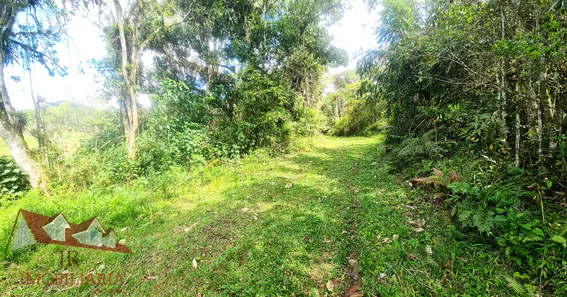 Fazenda / Sítio / Chácara à venda, 12400m² no Matulão, Tijucas do Sul