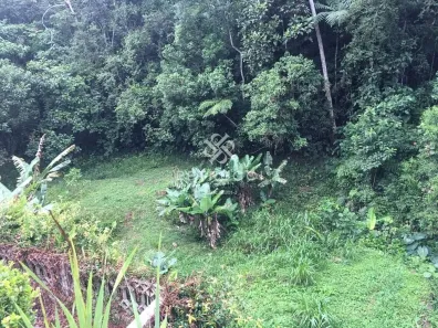 Fazenda / Sítio / Chácara com 3 Quartos à venda, 7000m² no Somma, Ribeirão Pires
