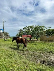 Fazenda / Sítio / Chácara à venda, 27m² no , Nossa Senhora das Dores