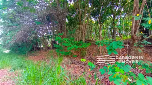 Fazenda / Sítio / Chácara com 1 Quarto à venda, 3000m² no Caçapava Velha, Caçapava